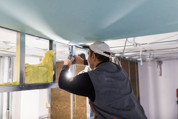 Best Spray Foam Insulation in Centralia, MO