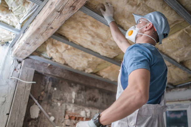 Best Insulation Maintenance and Repair in Centralia, MO