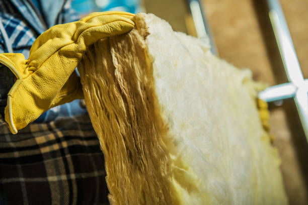 Best Cellulose Insulation in Centralia, MO