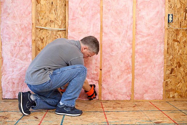 Best Geographic-Specific Insulation Services in Centralia, MO