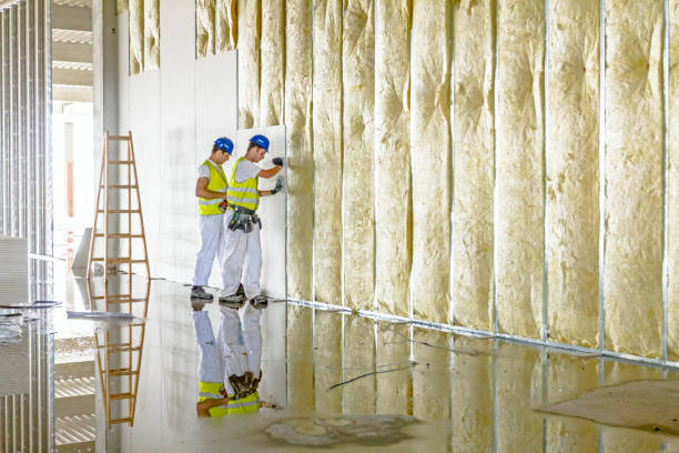 Best Energy Efficiency Insulation in Centralia, MO